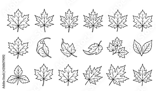 Maple leaf outline icon set with autumn foliage shapes for fall, canada and nature themed design elements