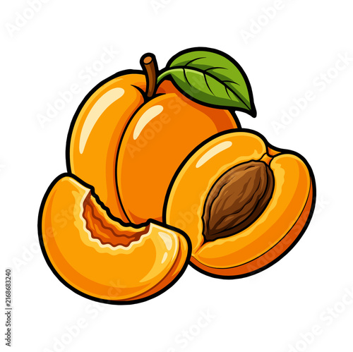 fresh the apricot fruits vector