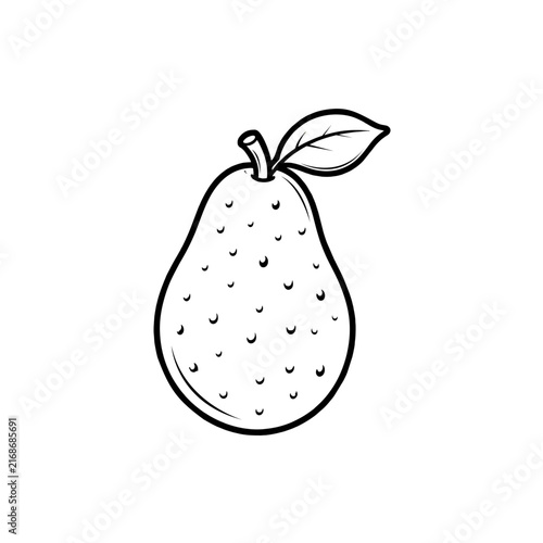 outline avocado fruit vector