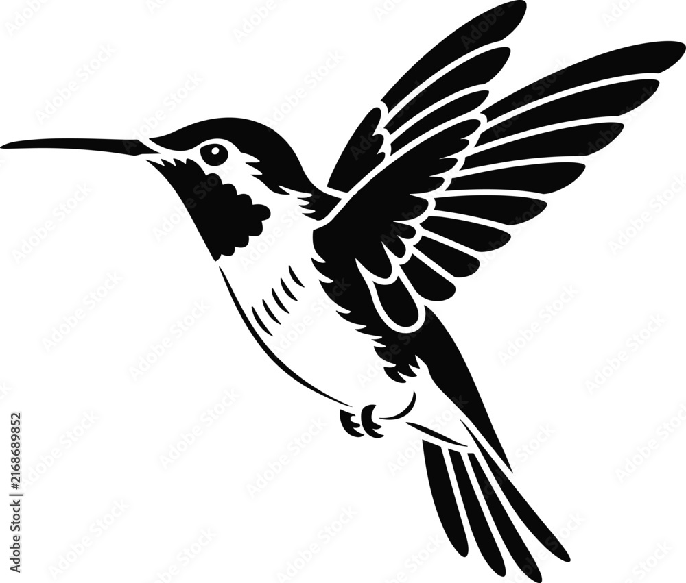 Fototapeta premium Black and white hummingbird in flight flying wings