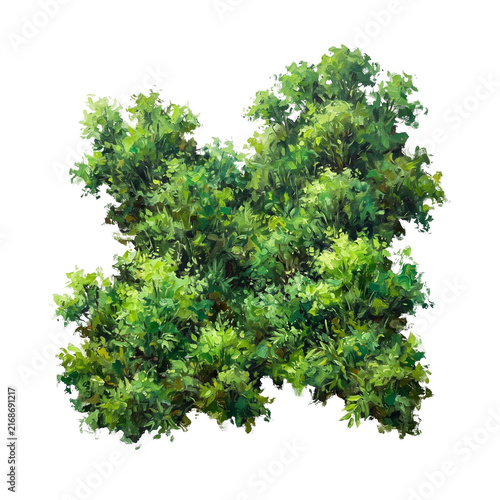 Lush green bush isolated on black background for architectural visualization and digital landscape design projects