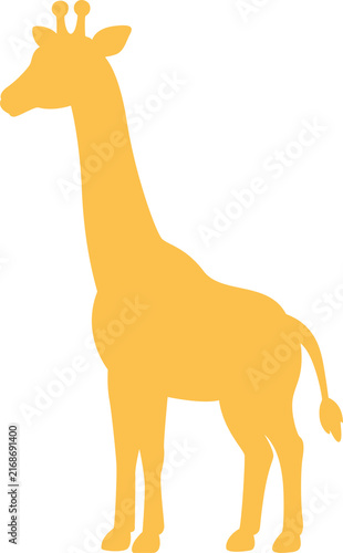 Photography giraffe silhouette animal