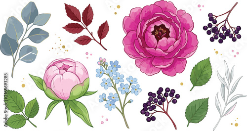 Elegant Botanical Floral Vector Element Set with Pink Peony, Blue Forget Me Not, Dark Berries, and Eucalyptus Leaves for Romantic Wedding Invitation Designs