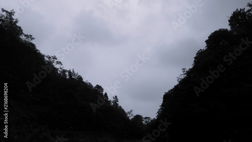 Bild auf Leinwand Monochrome view of a narrow forest valley framed by dense tree-covered hills beneath a cloudy sky, creating a moody and atmospheric mountain landscape