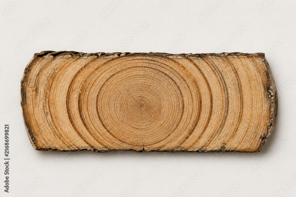 Fototapeta premium Cross section of wood log showing circular rings and bark texture. Close-up on a white background. Concept of nature, forestry, and woodworking. Studio lighting creates a natural look.