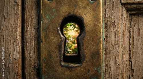 Close-up of a rustic keyhole in an old weathered wooden door revealing a vibrant, sunlit garden beyond.