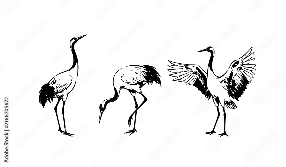 Naklejka premium Traditional Chinese ink wash crane bird set hand drawn oriental vector illustration