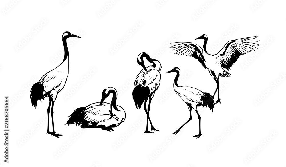 Naklejka premium Minimal Chinese ink wash crane bird collection hand drawn oriental vector art