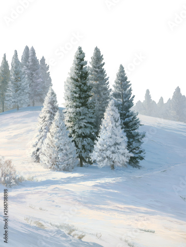 Snow Covered Pine and Fir Trees in a Beautiful Winter Forest Landscape with Frosty Mountain Scenery, Blue Sky and Frozen Nature Background