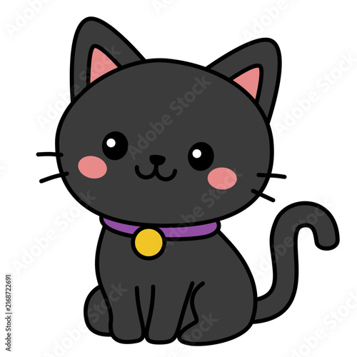 фотографія cute black cat
