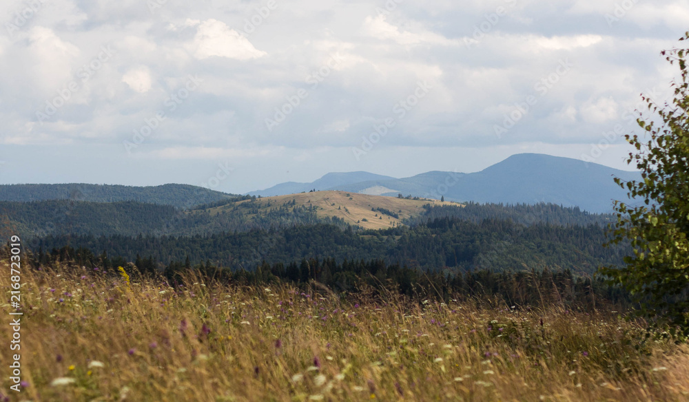 Fototapeta premium mountain landscape