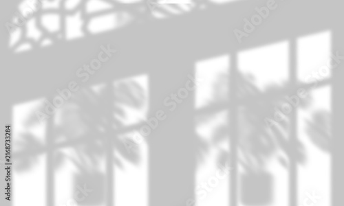 Islamic Arch Window Frame Shadow Overlay with Potted Plants Silhouette