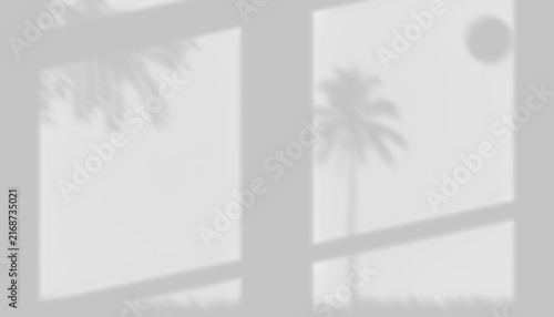 Soft Window Frame Shadow Overlay with Night Palm Tree and Moon