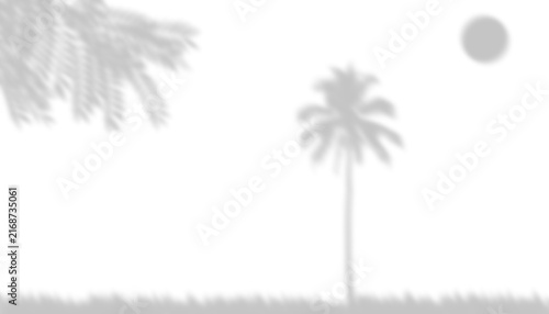 Night Palm Tree Silhouette Shadow Overlay with Full Moon