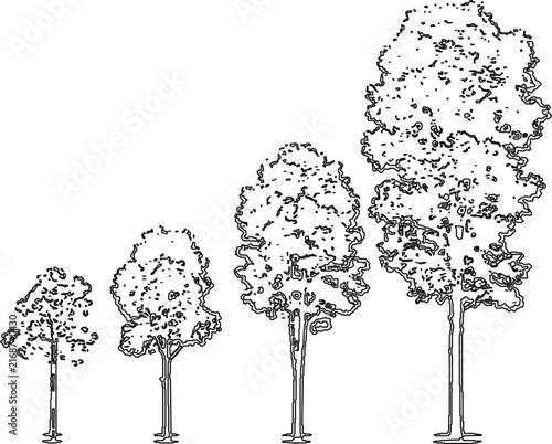 Four trees growth stages outline