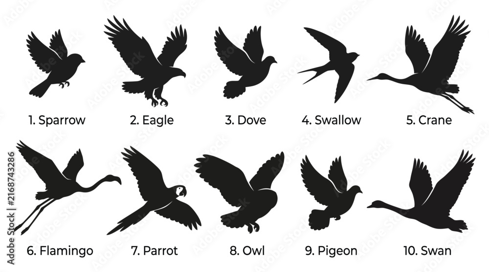 Naklejka premium Multiple bird silhouettes flying in various poses presented as a clean black graphic design collection set
