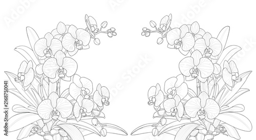 Elegant line art illustration depicts beautiful orchid flower arrangements with delicate petals and buds in a symmetrical frame.