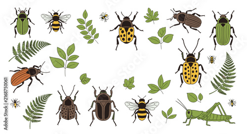 Detailed collection of various beetles and insects is presented alongside green fern leaves and foliage on a white background.