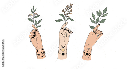 Minimalist art features three hands holding various botanical sprigs with mystical moon and star tattoos on the forearms.