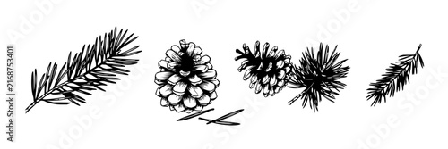 Pine elements set with pine cones and pine branches featuring botanical illustration, line drawing, monochrome, sketch, and nature