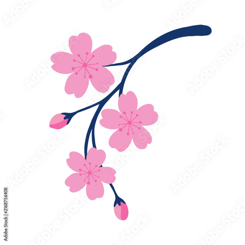 Minimal flat drooping sakura branch illustration, curved blush pink cherry blossom clipart top view, botanical flower icon isolated on white background