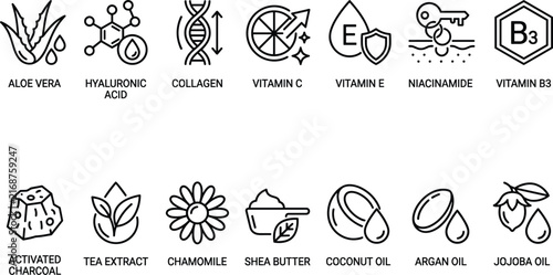 Skincare active ingredient icon set featuring aloe vera collagen hyaluronic acid vitamins activated charcoal and essential oils