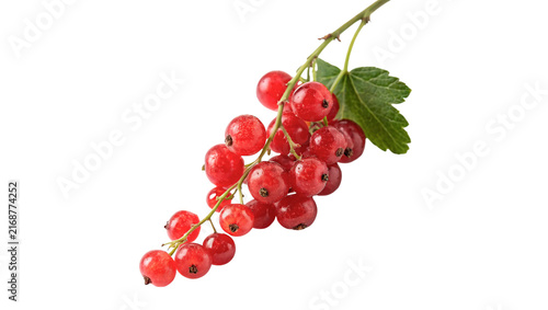 Bild auf Leinwand Branch of fresh ripe red currants berries isolated on transparent background