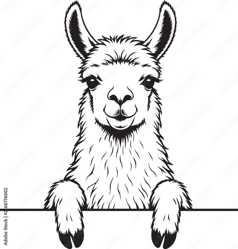Naklejka premium cute llama alpaca peeking silhouette vector illustration