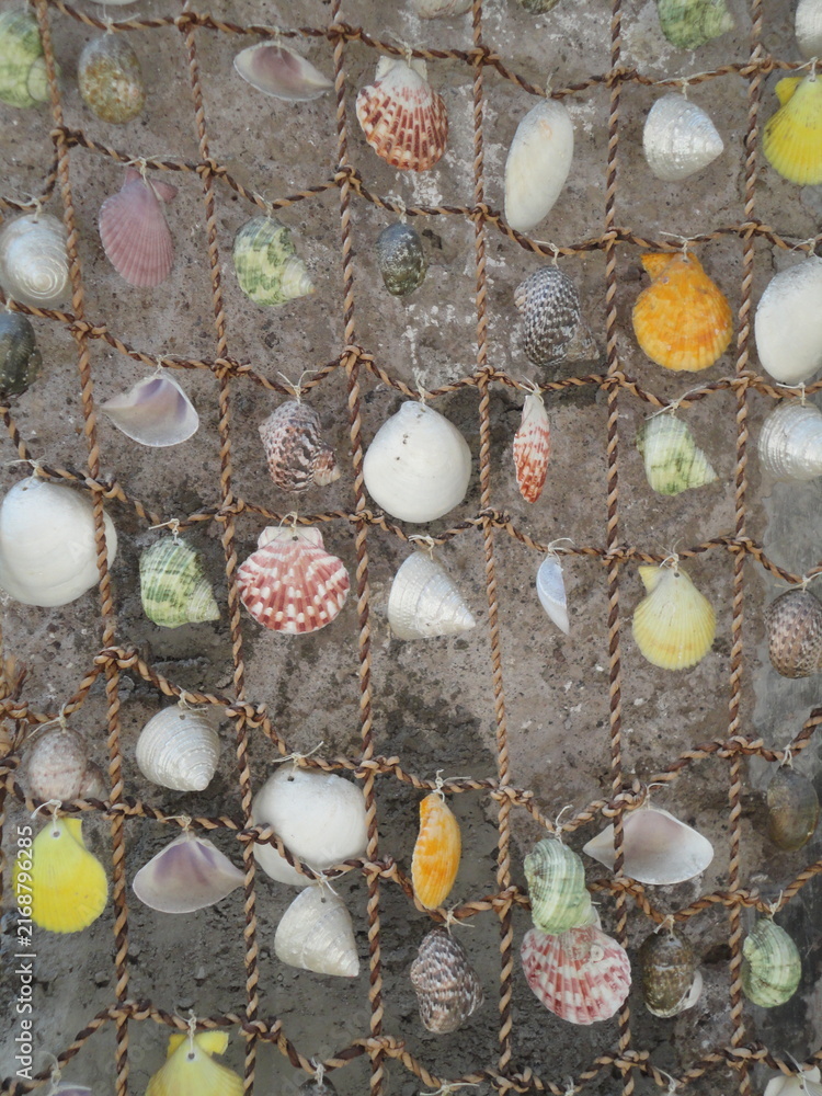 Fototapeta premium Decorative Net with Colorful Sea Shells on Brick Wall