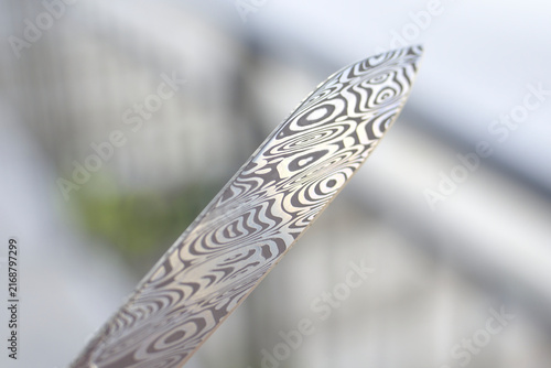 Obraz na płótnie Damascus Steel Pocket Knife Blade Close Up with Intricate Pattern and Copy Space