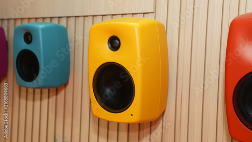 Studio Monitor Speakers Mounted on Slatted Wood Wall
