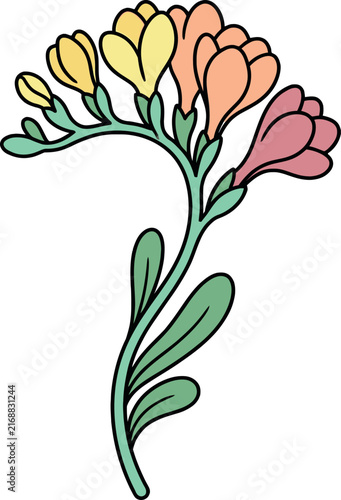 Colorful Blooming Freesia Flower Vector Illustration Isolated on White Background