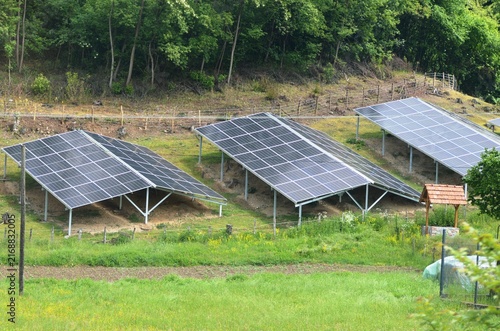 a large number of aligned panels