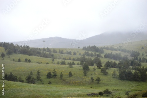 morning fog on the hills