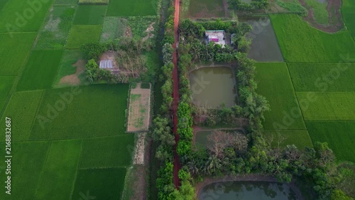 Rural Village Area Chandpur, Bangladesh