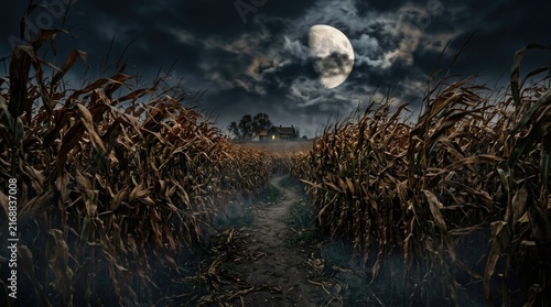 Spooky cornfield path leading to a house under a full moon