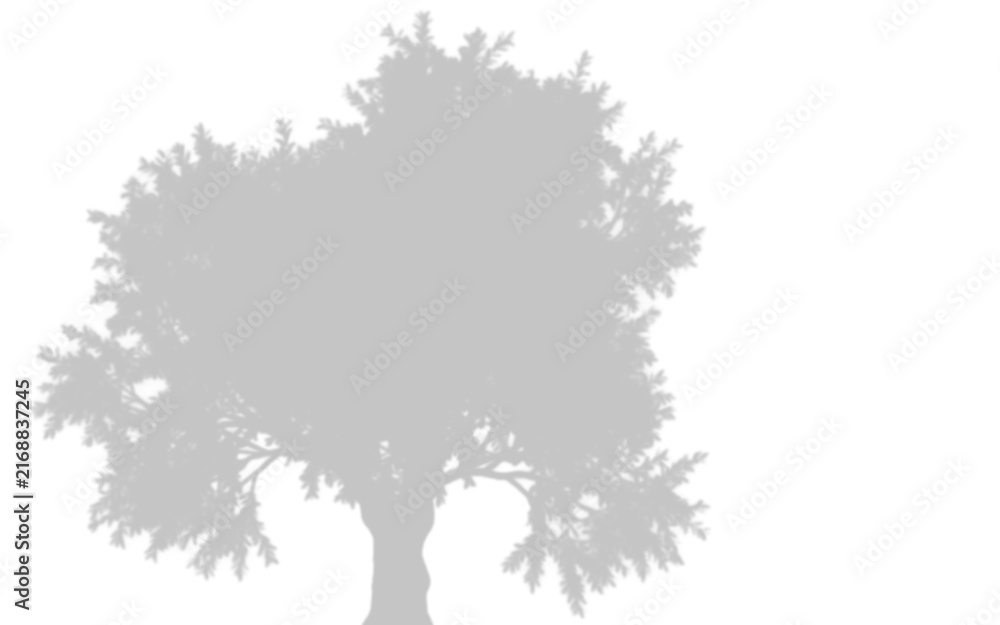 Fototapeta premium Light gray tree silhouette isolated on transparent background