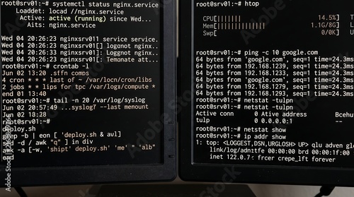 Linux server command line interface showing system status and network diagnostics inside terminal window on dark screen with root access privileges for server administration tasks