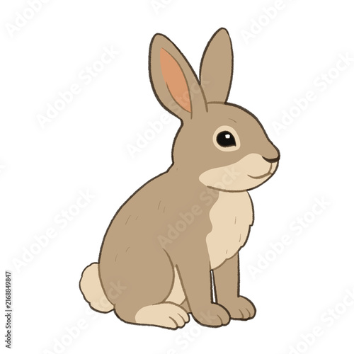 Rabbit