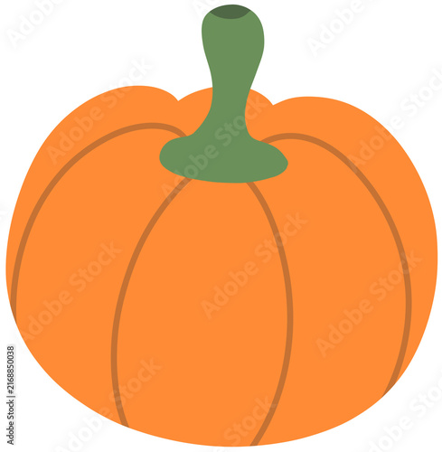 Pumpkin Illustration