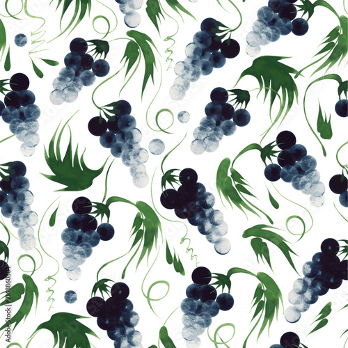 Wallpaper seamless pattern from grapevine plant and bunches of blue grapes on a white background 