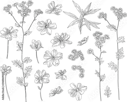 Set of flowers and leaves in vintage style, on a transparent background	
