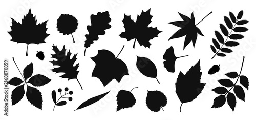 Black tree leaves and acorns silhouettes set. Botanical foliage vector collection. Seasonal autumn illustration.