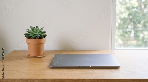 Modern Home Office Desk Setup with Closed Laptop and Potted Succulent Plant Near Window