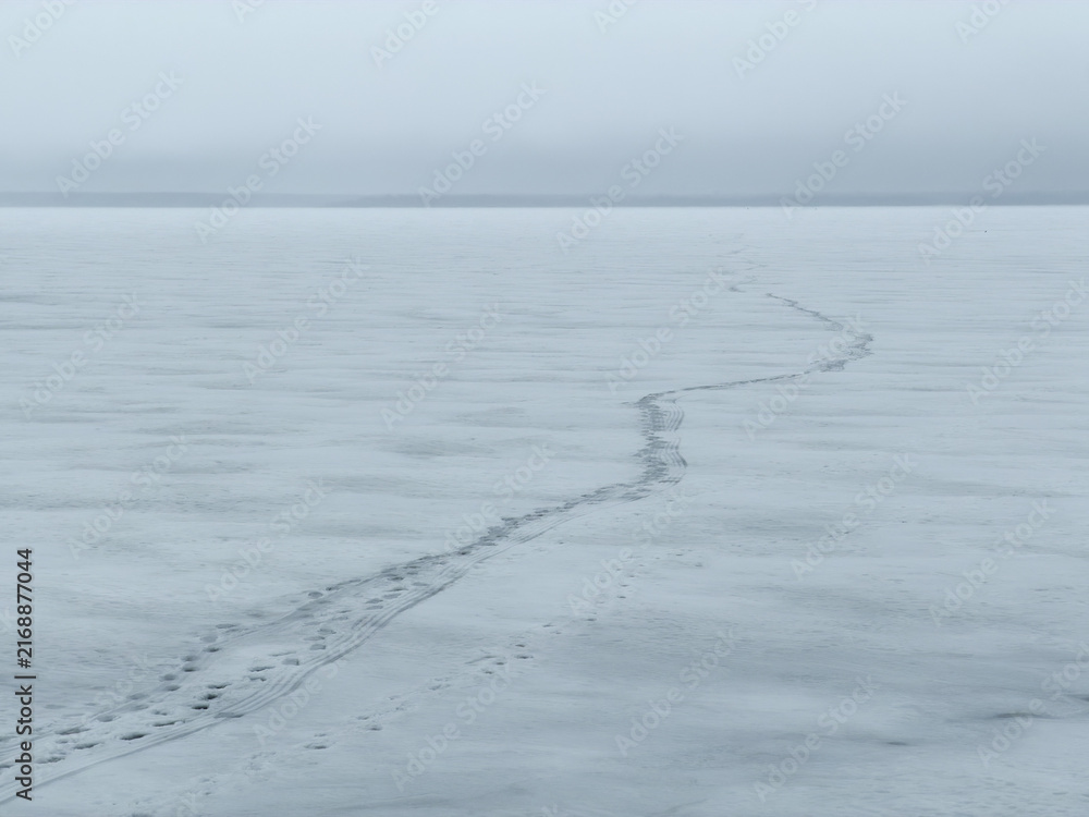 Fototapeta premium Frosty trail cuts through frozen, mist-shrouded expanse. Sparse tracks suggest solitary passage across silent ice.
