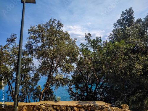 Scenic coastal view with lush green trees and blue sea under a bright sunny sky