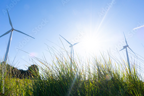 Canvastavla Wind turbines standing in a field of tall green grass, converting wind energy in