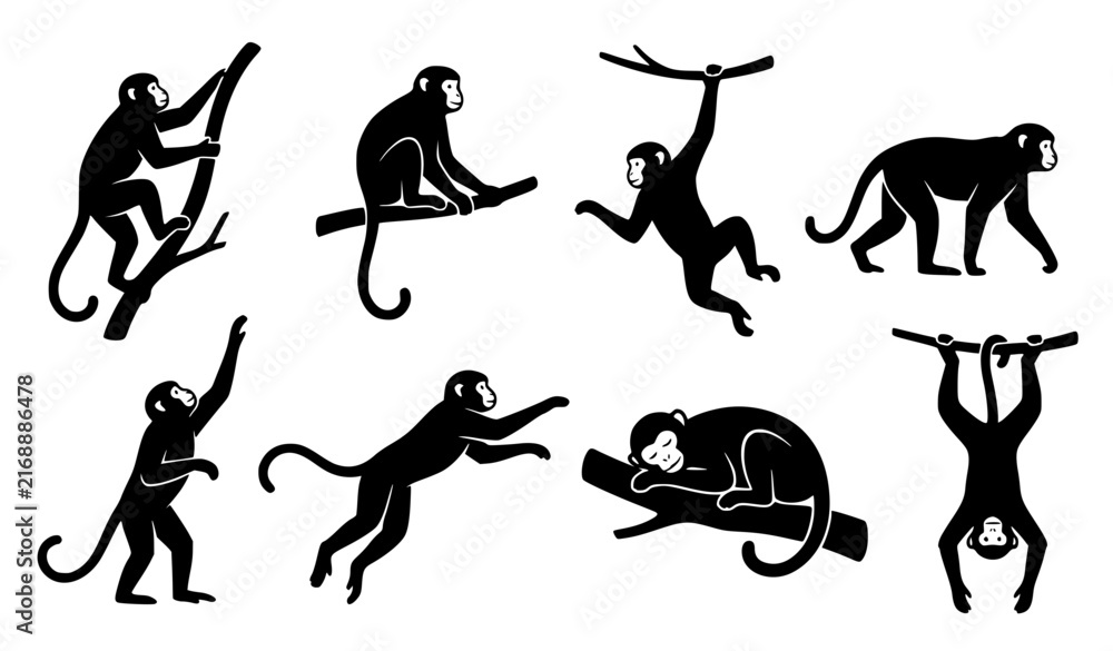 Fototapeta premium Monkey Silhouette Collection