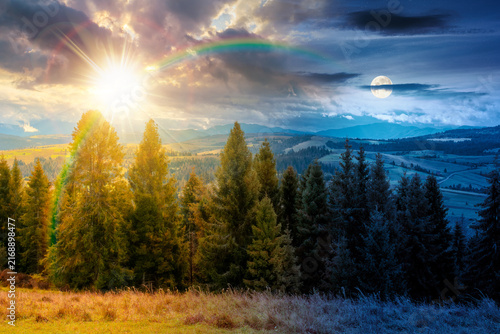 Konstfotografi hillside of mountain range with coniferous forest and meadow