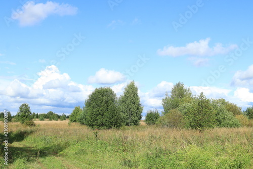 Summer landscape of northeastern Europe, field, green forest, blue sky, clouds on a summer day